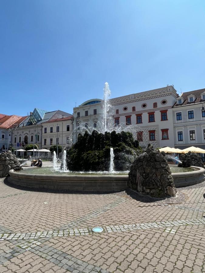 Apartman Viki Banska Bystrica Ngoại thất bức ảnh